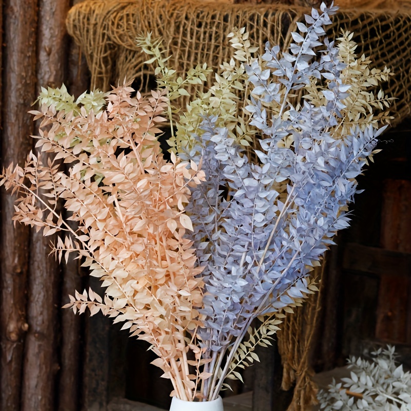 Comprar Material de flores secas reales, espécimen de planta