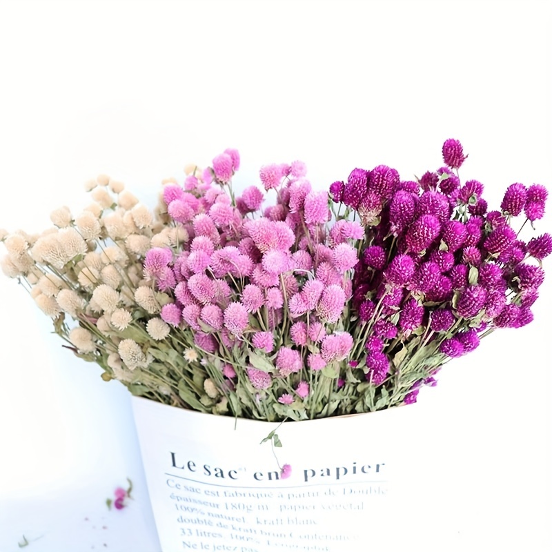 Colored Dried Flowers Free Shipping for New Users Temu