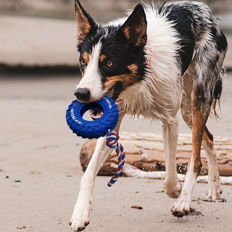 Toys to tire out a clearance puppy