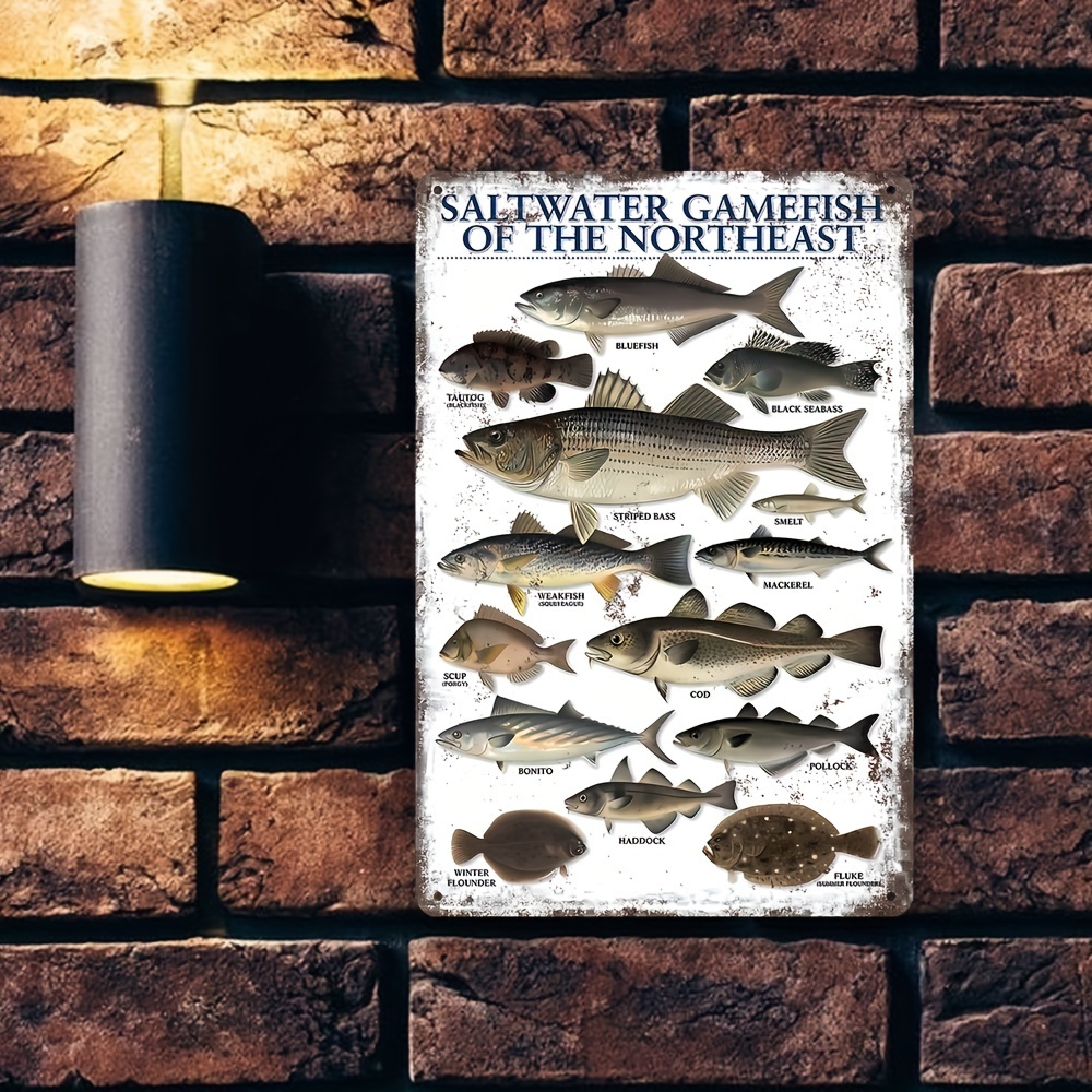 Vintage Fish Aluminum Sign:  Fish Blush? Saw Ocean's - Temu