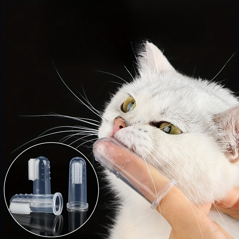 Porta spazzolini da denti gattino bianco – Lo Smagatto