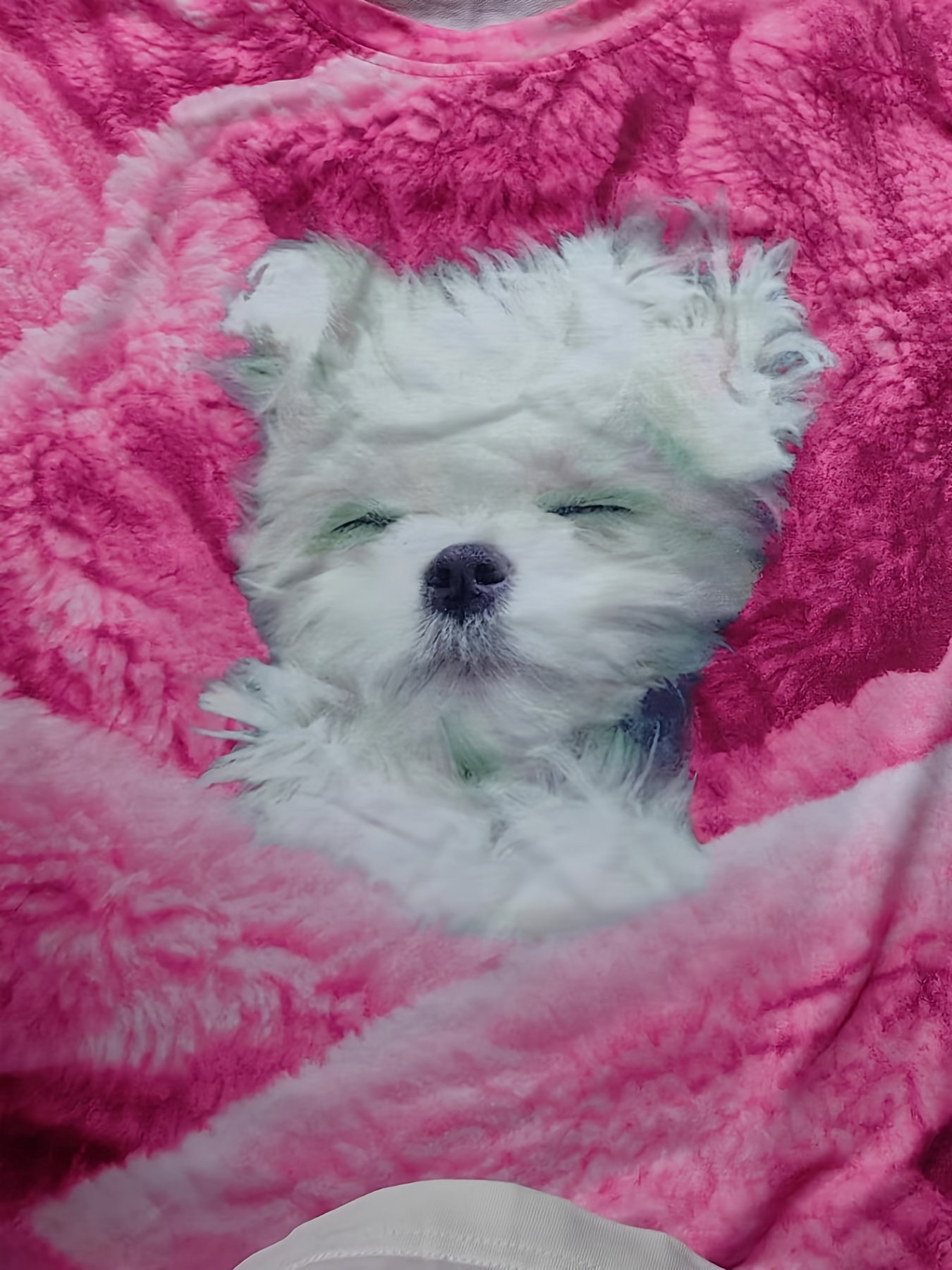 Louis Pup Pink Sweater