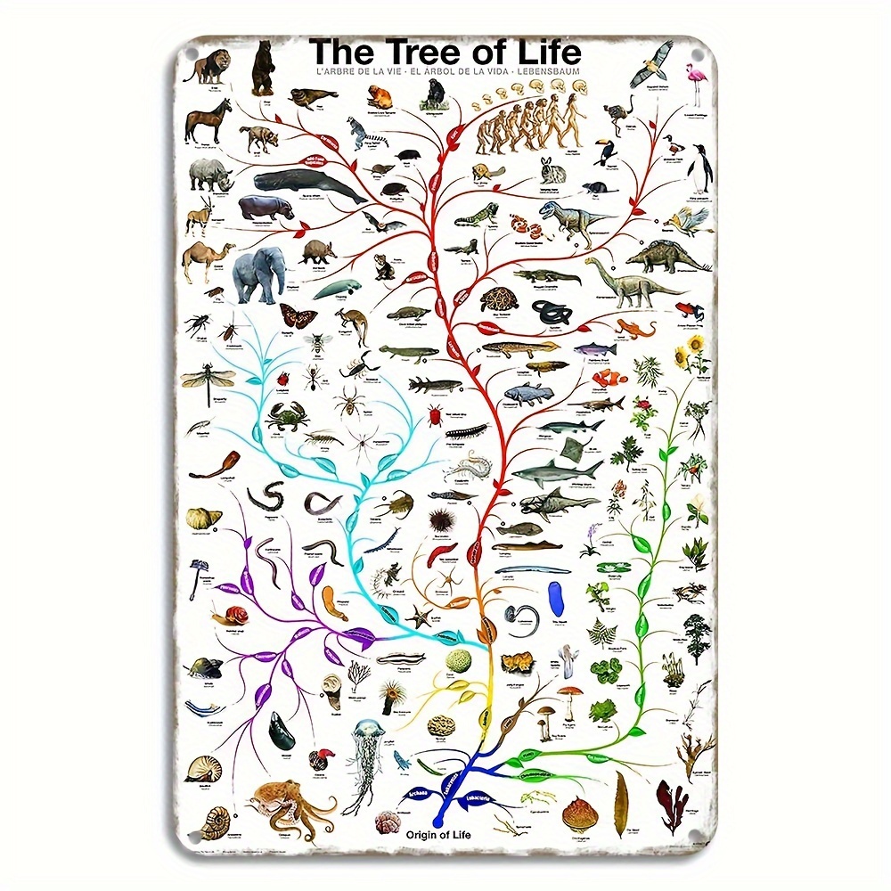 Vintage Picture Peddler Evolution The Tree Of Life Novelty Biology Science  Chart Education Print Poster Metal Sign Wall Decor Office Home Study Decora