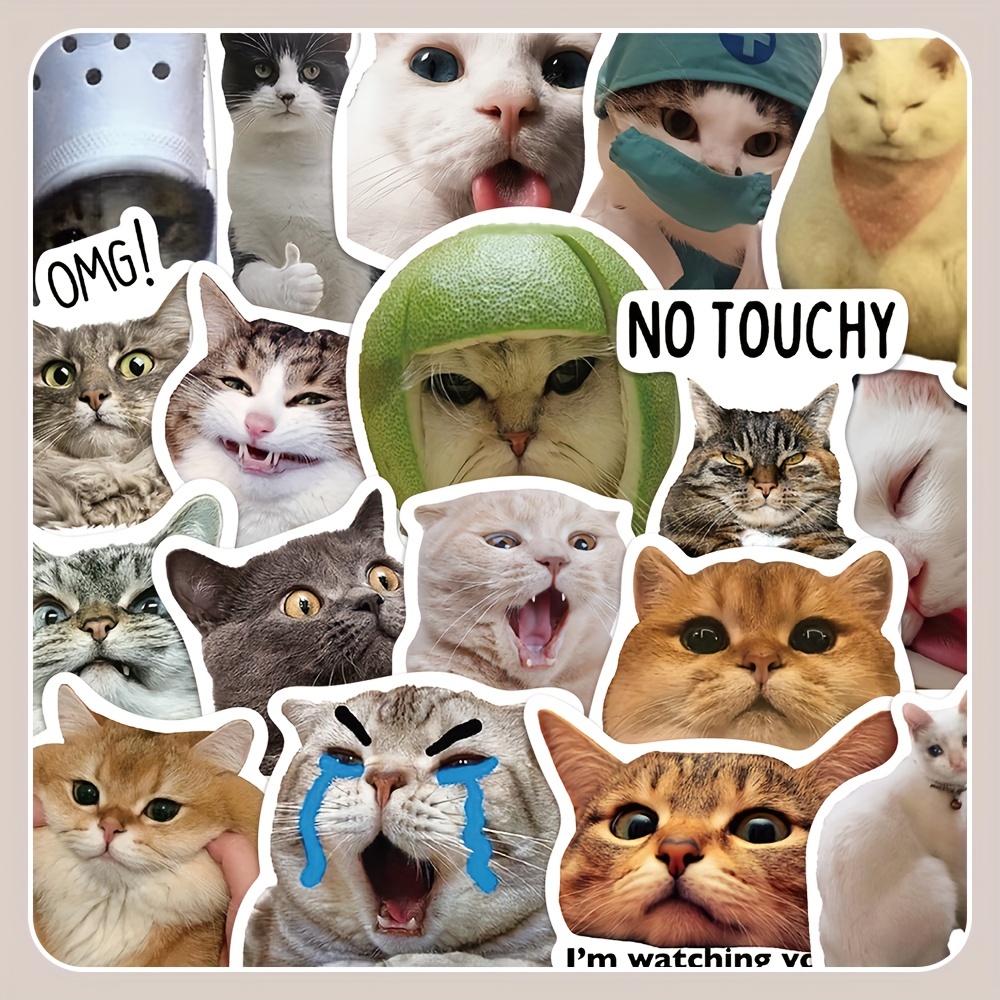 by ha4to  Animal icon, Cat icon, Funny looking cats