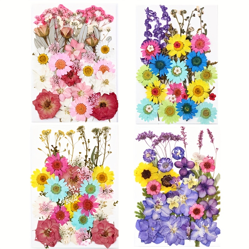 Real Natural Dried Pressed Flowers Mixed Multiple Colorful - Temu