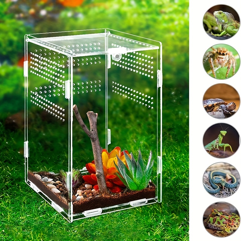  Spider Terrarium, Acrylic Reptile Breeding Box