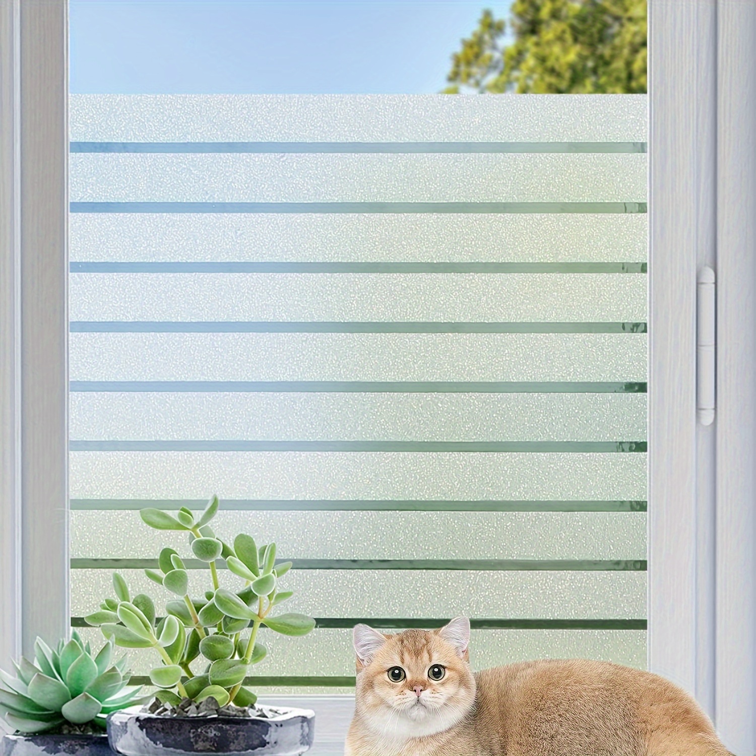 Privatsphäre Solar Fensterfolie, statische nicht klebende gefärbte