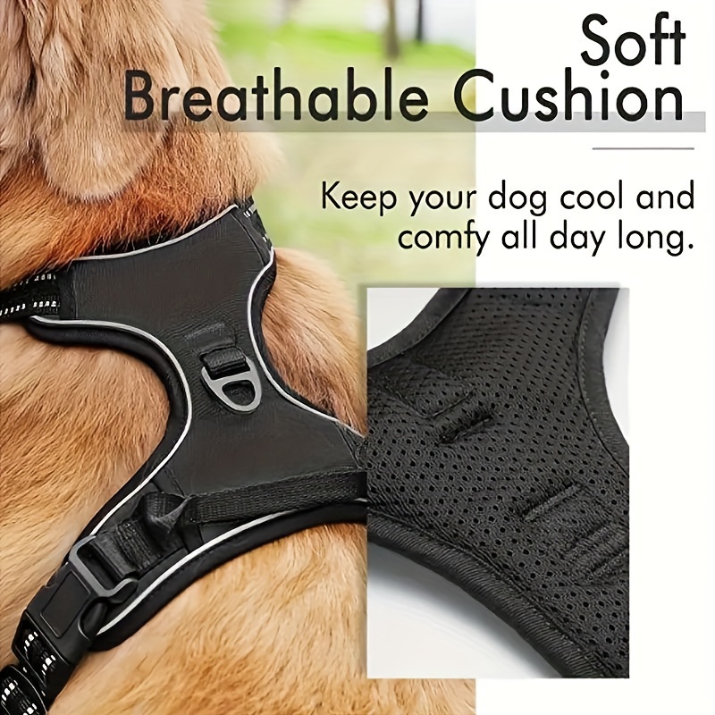 Outdoor dog outlet harness