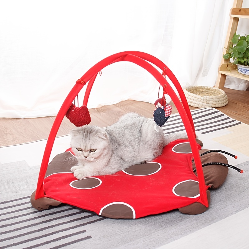 pet cat playing bed kitten exercise tent cat nest puppy training bed pet cat supplies cat teaser toy details 5