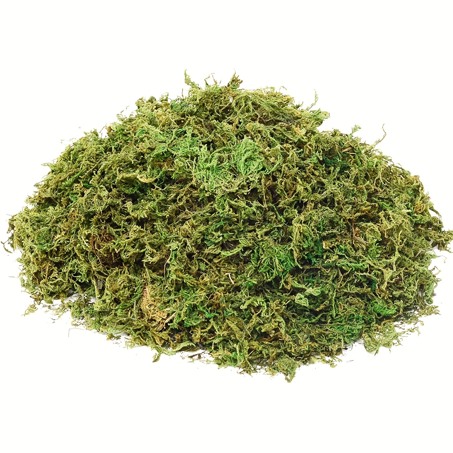 1 Set, Artificial Moss, Reindeer Moss, Lichen, 50g/1.76oz, Forest Green  Moss, Suitable For Fairy Gardens, Terrariums And Any Crafts Or Flowers