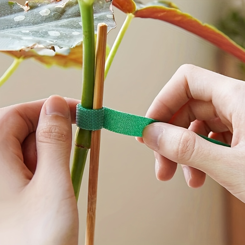 1 Rouleau De Bandage Pour Plantes, Attache , Support De Plantes