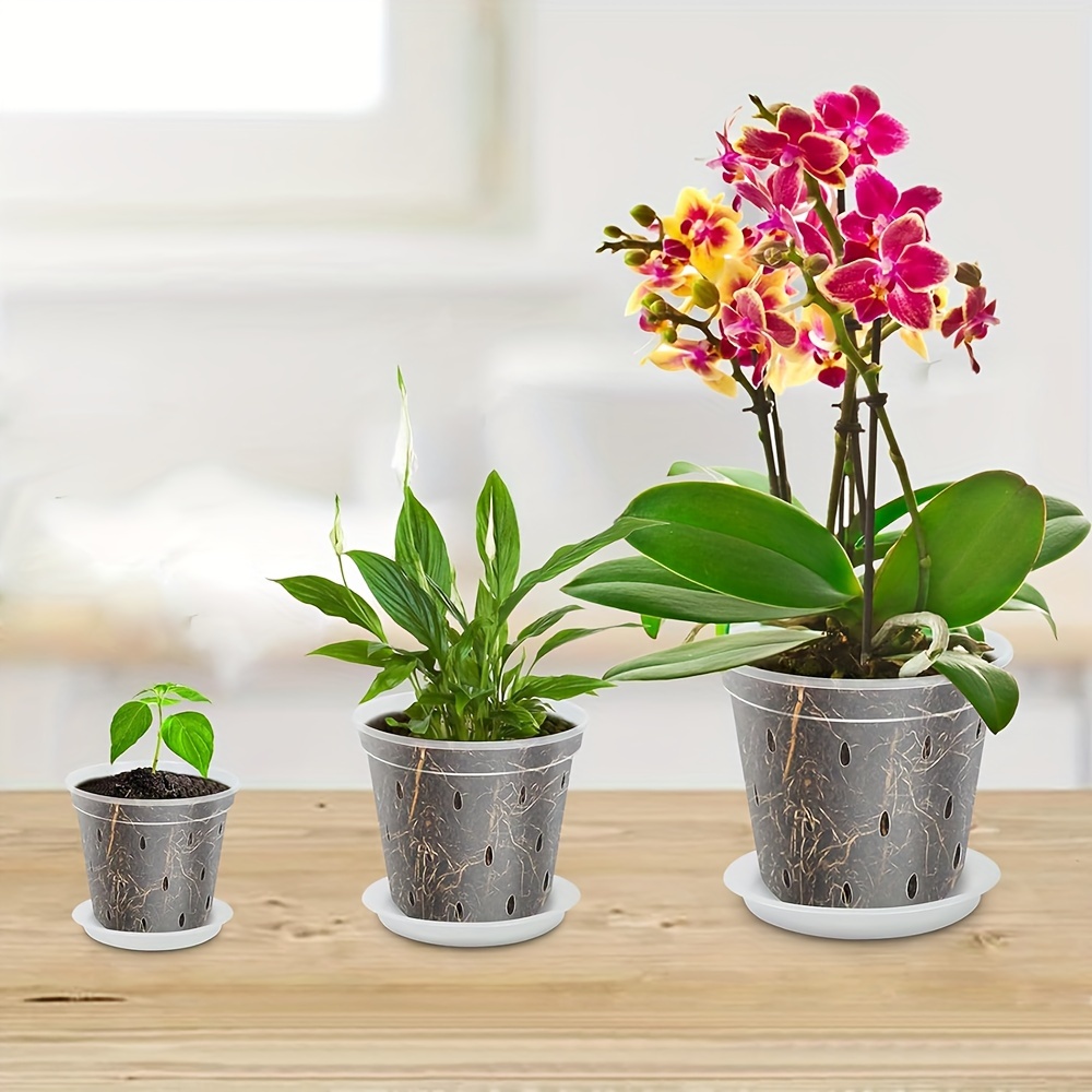 Vaso per orchidee trasparente 34,5 x 15 x 15 cm CAS35 E1