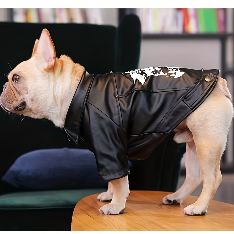 Dog leather cheap jacket costume