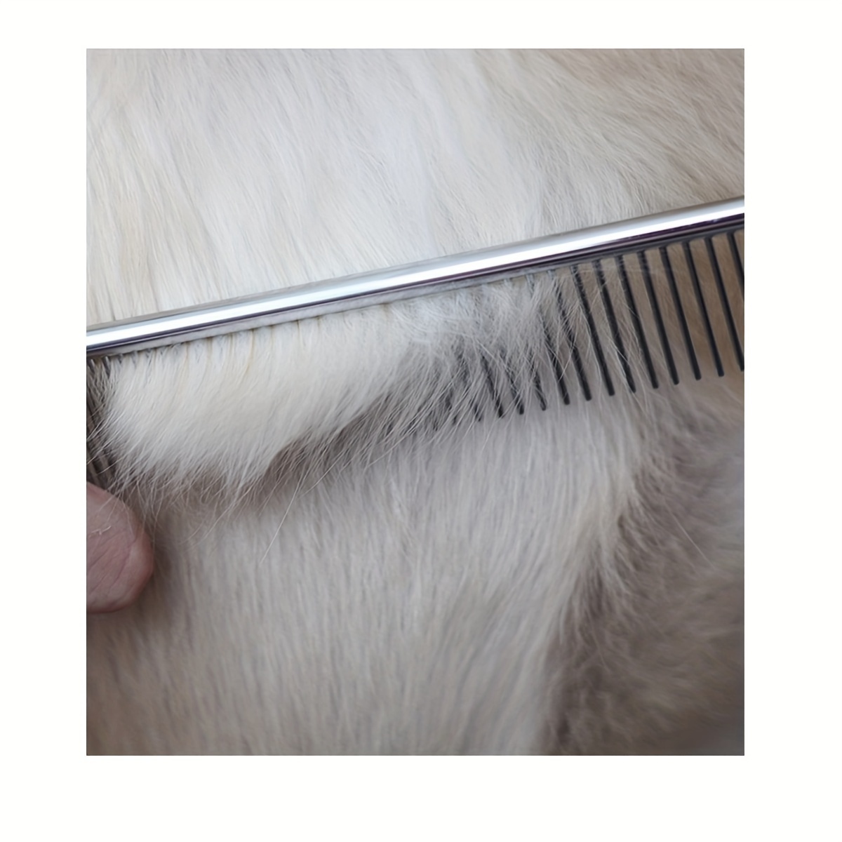 Flea Comb For Cats And Dogs Dog Comb Cat Comb Steel Dog Comb - Temu