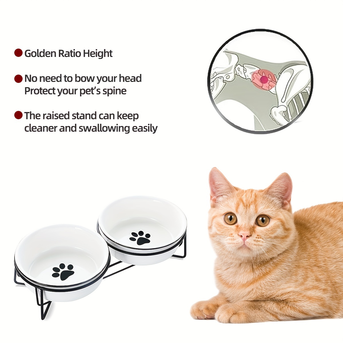 Ceramics Raised Cat Small Dog Bowls With Heighten Metal Stand For