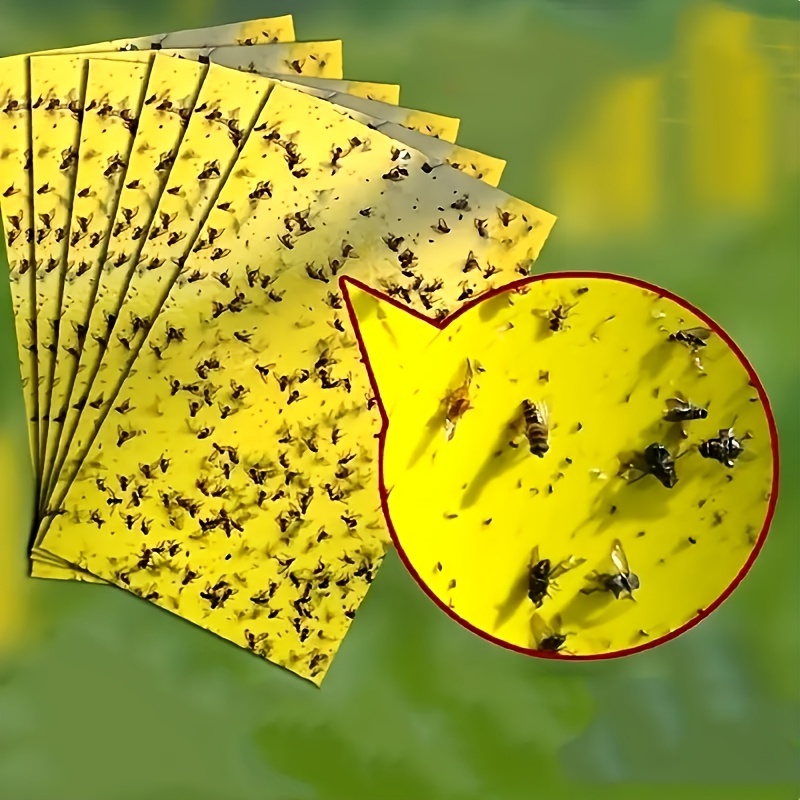 Dual-Sided Yellow Sticky Gnat Traps Indoor/Outdoor Insect Fungus Gnats,  Whiteflies, Aphids, Leaf Miners,Thrips(20-Count)