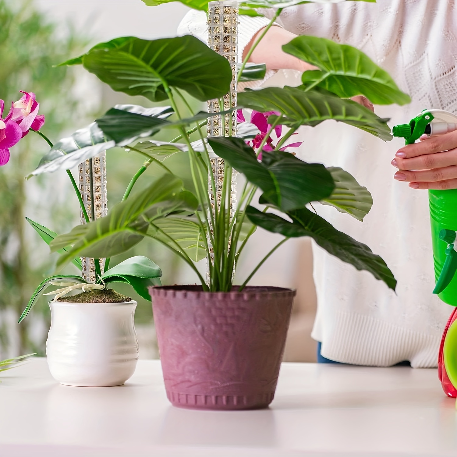 Poteau de mousse en plastique pour plantes grimpantes, pour pieux de  plantes et sphaigne pour soutenir les poteaux de mousse