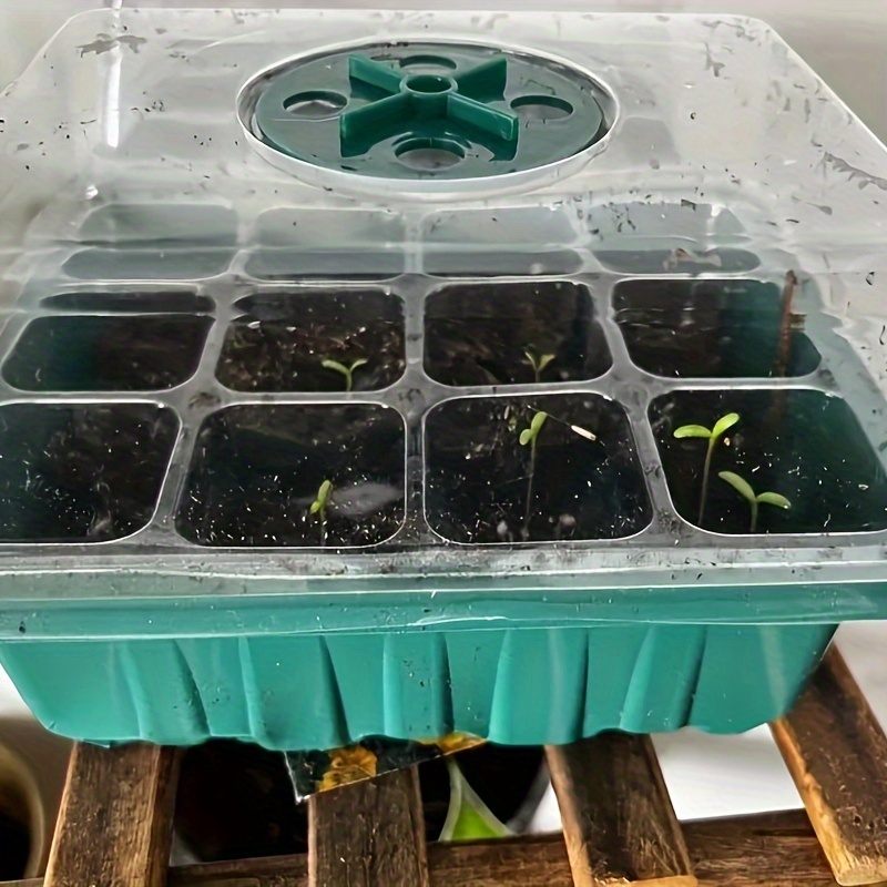 Green Seedling Trays Sprout Vegetable Trays Plastic Garden - Temu