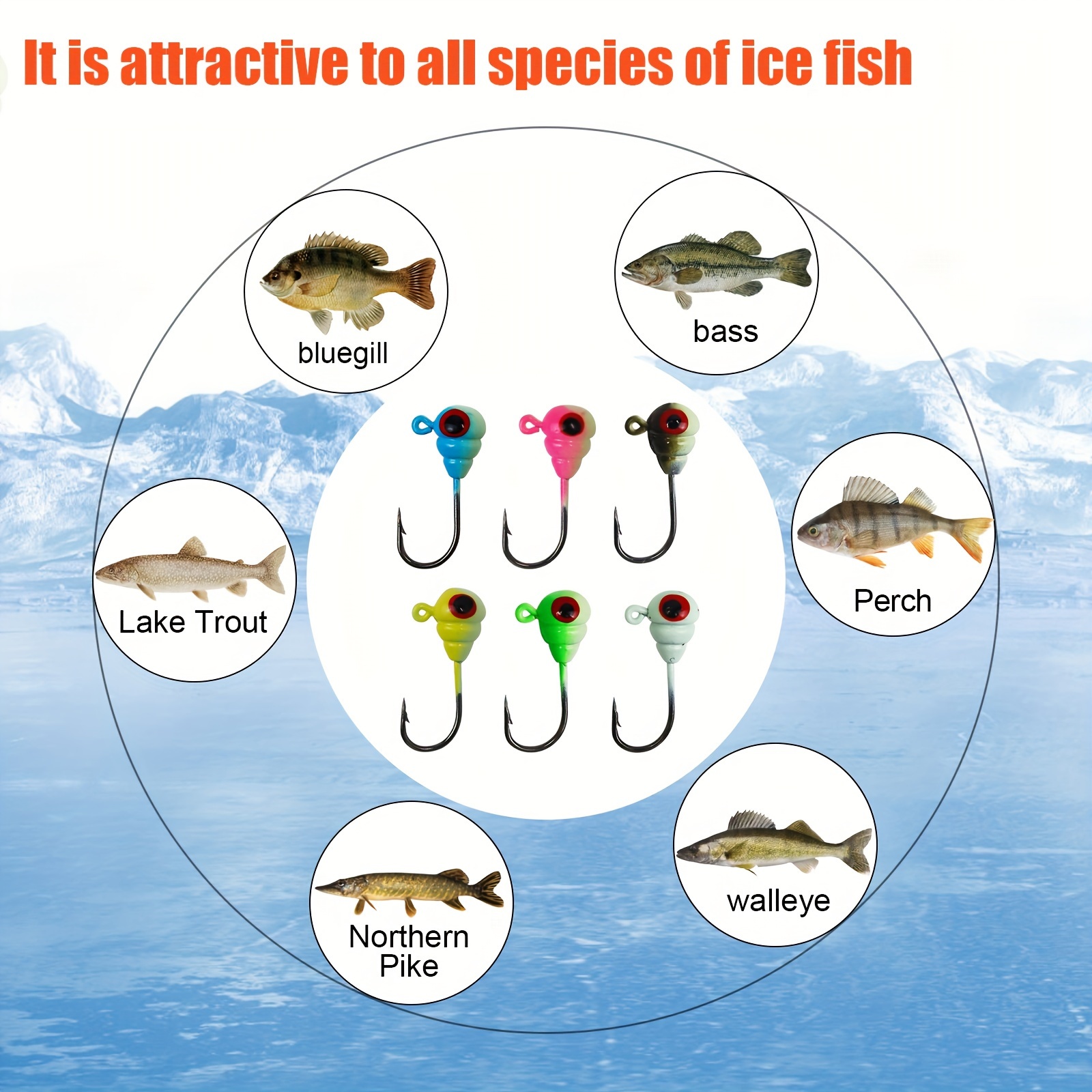 THKFISH 50Pcs/Box Ice Fishing Jigs Set Ice Fishing Lures Walleye Jigs Heads  for Ice Fishing Gear Kit Panfish Crappie Perch Jigs Ice Fishing Box A, Jigs  -  Canada