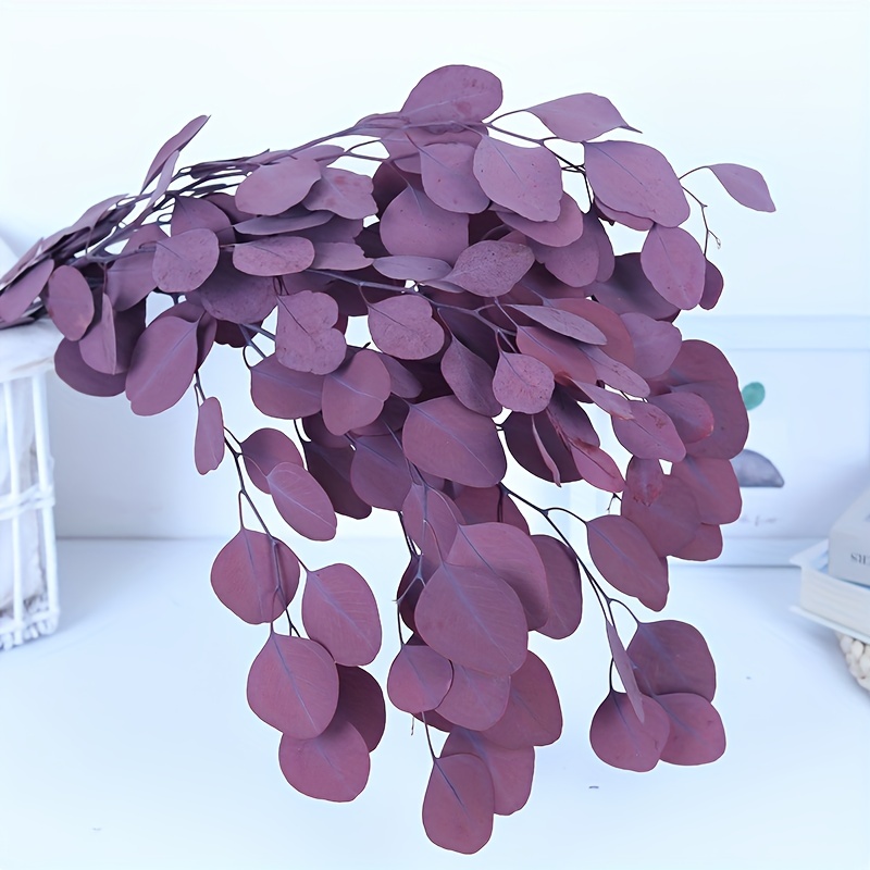 4 Species Natural Dried Eucalyptus Lavender Wall Hanging For - Temu