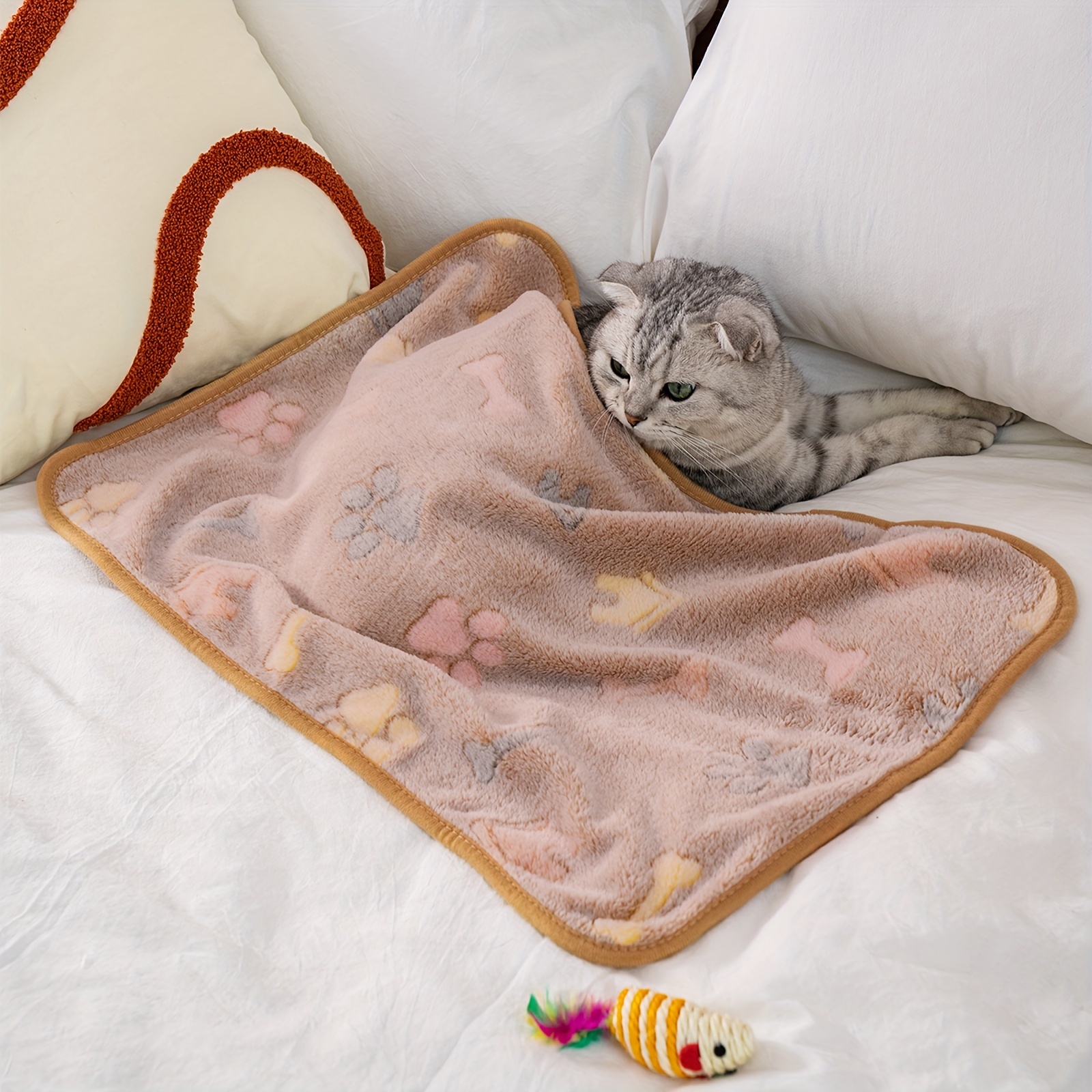 Print pet best sale on blanket