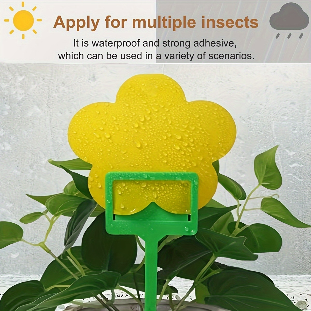 10PCS Fly Trap Gnats Insect Sticky Traps Indoor Outdoor Dual Sided Catcher  Plant Pest Control Strong