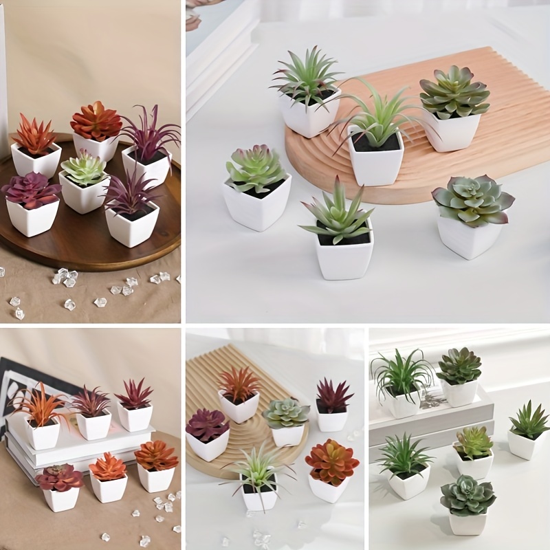 24 mini plantas suculentas artificiales sin maceta: selecciones de  suculentas falsas tallos de cactus de plástico realistas para terrario a  granel
