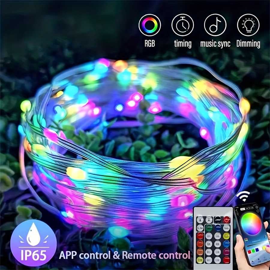 Led 5 Meter Light Remote Control Colorful String Lights, App