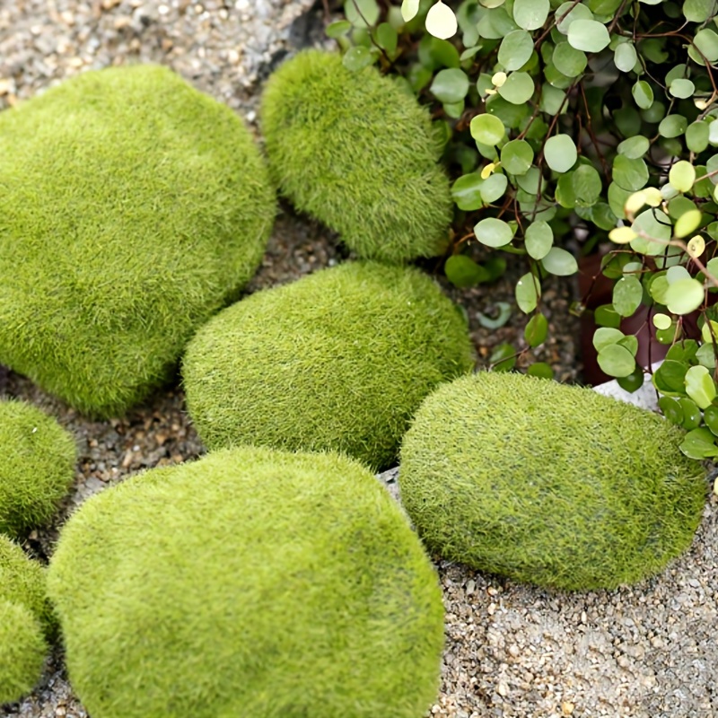 Moss Balls Decorative Stones For Home Green Foam Moss Ball - Temu