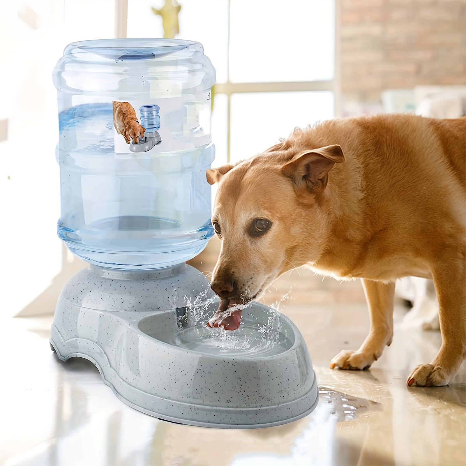 Dispensador De Agua Para Perros Para Perros Y Gatos Grandes