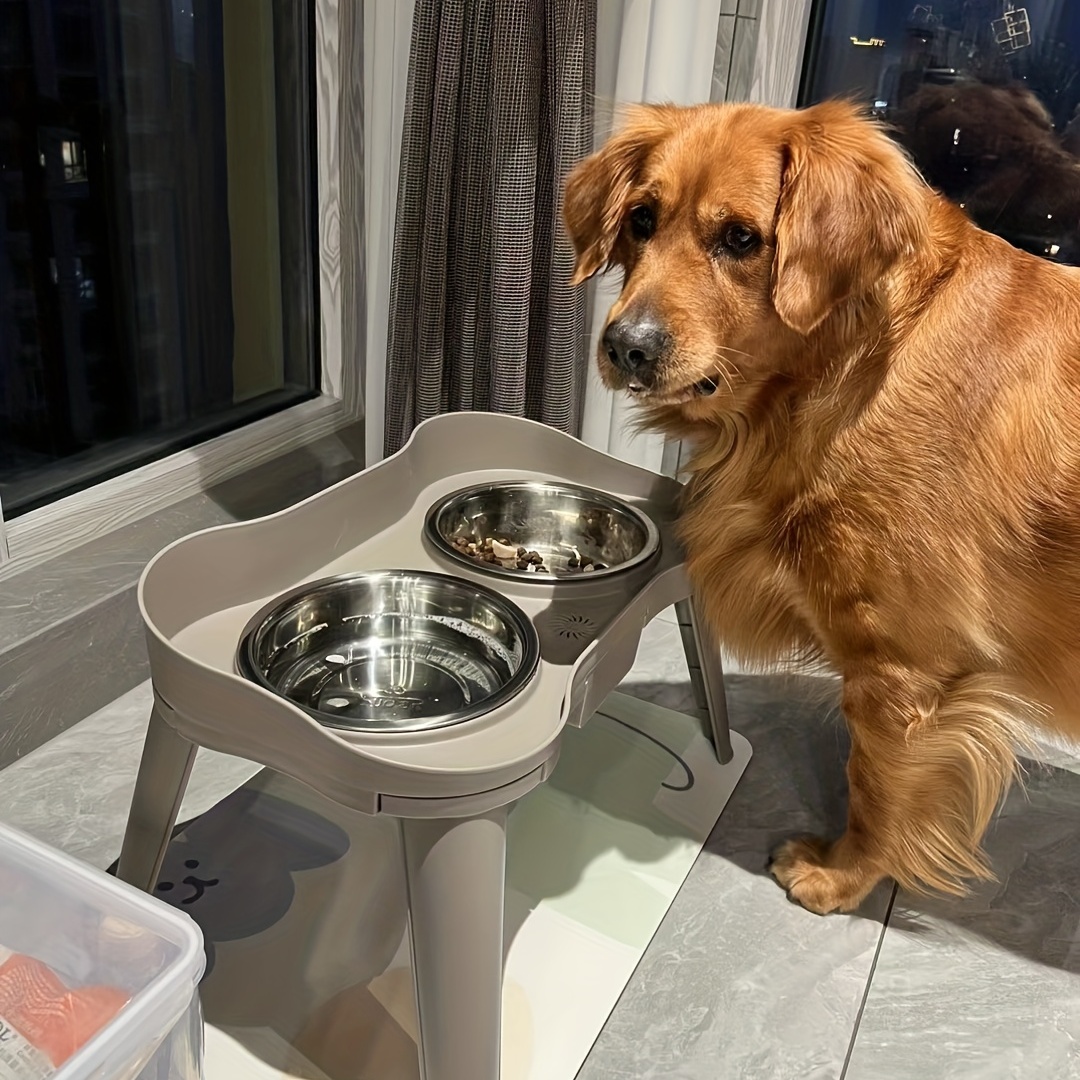 son tazones de comida elevados buenos para perros