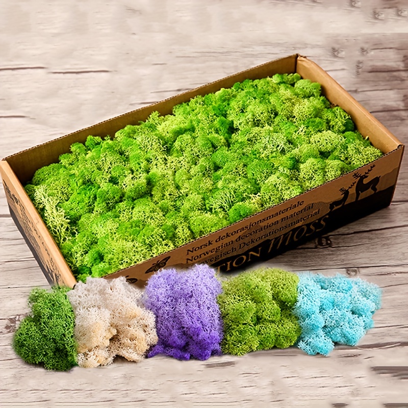 Artificial Flowers Plants Fake Moss For Potted Greenery Home Decor Fairy  Garden Crafts Wedding Decoration Fresh Green Christmas Tree With Lights 