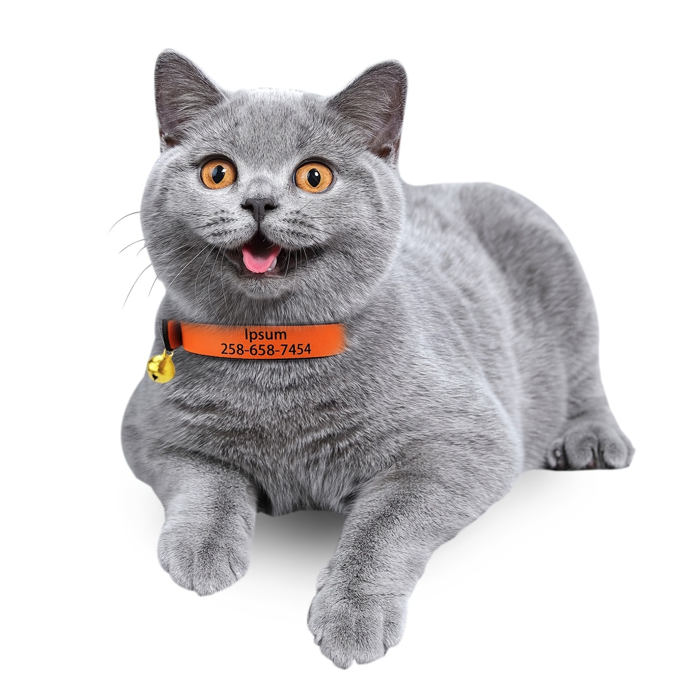 Printed cat collars sale