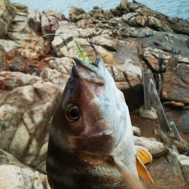 OriGlam 15pcs Shrimp Bait Hooks, Soft Shrimp Fishing Lure Soft Bait, Soft  Prawn Fishing Lures Simulation Soft Prawn Lure Shrimp for Trout Bass Salmon  : : Sports & Outdoors