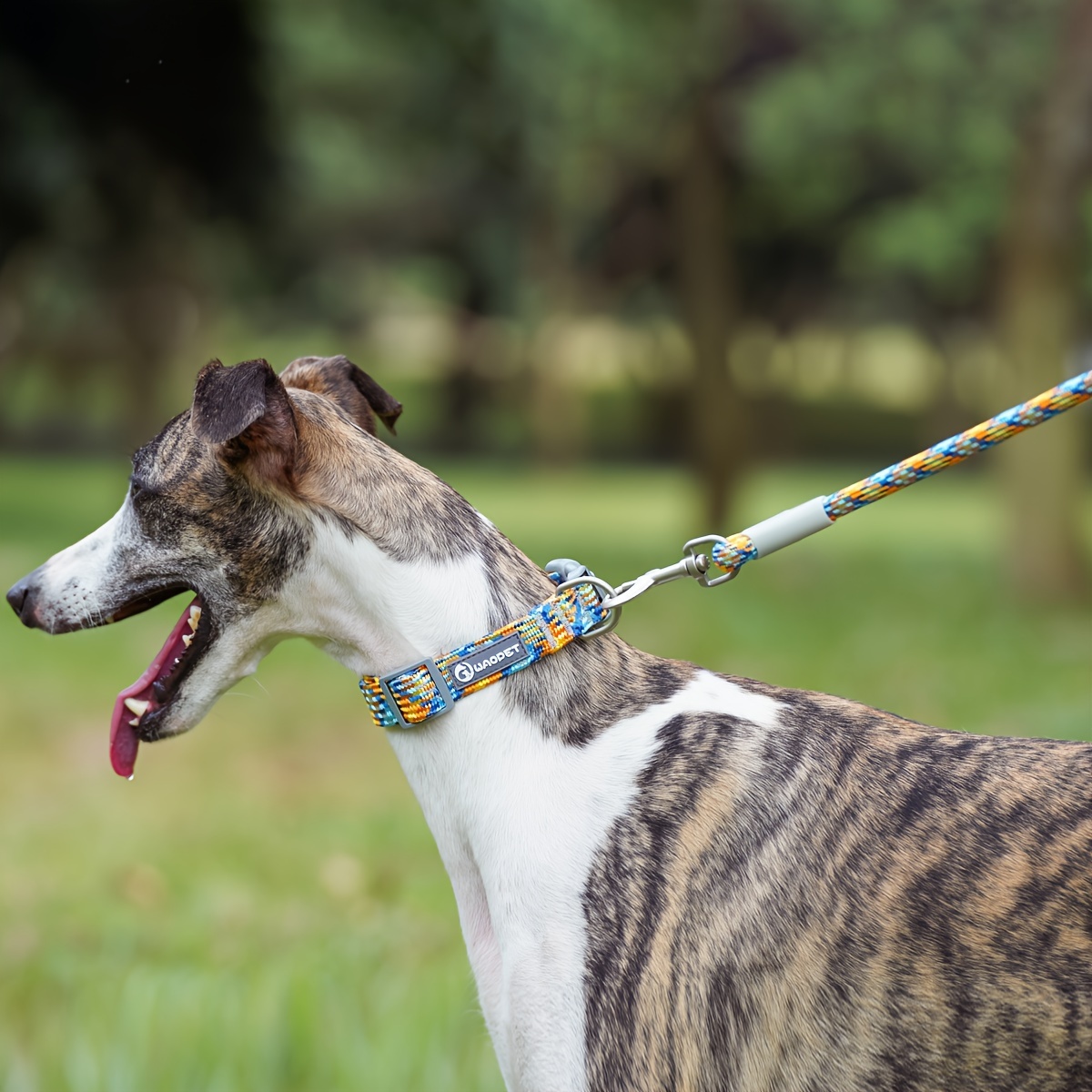 Reflective Braided Dog Leash for Outdoor Walking