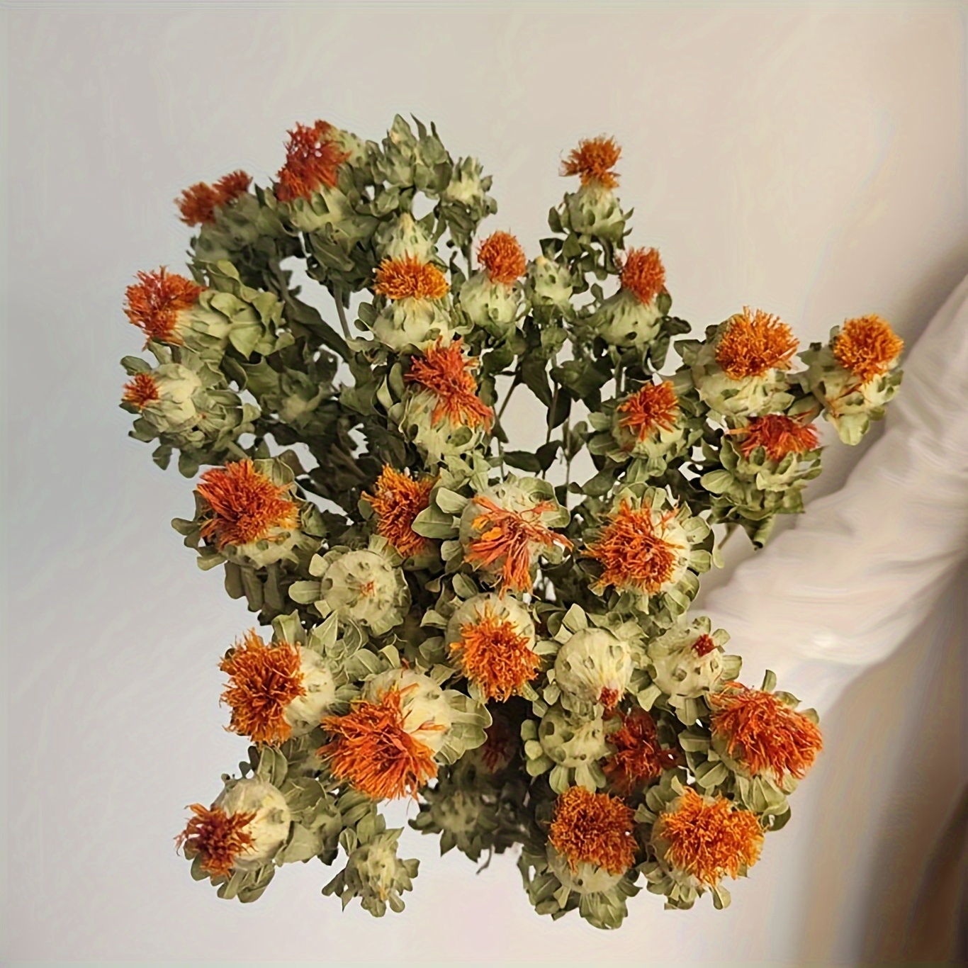 Dried Daisy Flowers Bouquet Real Dry White Flowers - Temu