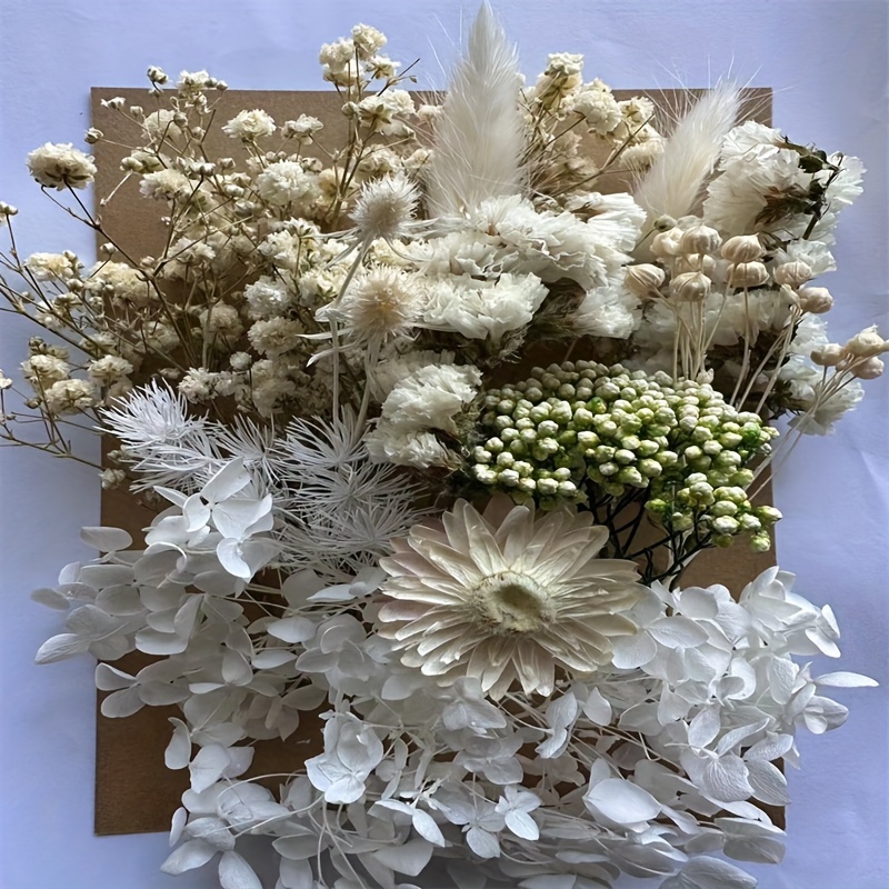 Eternal Flower Full Star Flower Box A Variety Dried Flower - Temu