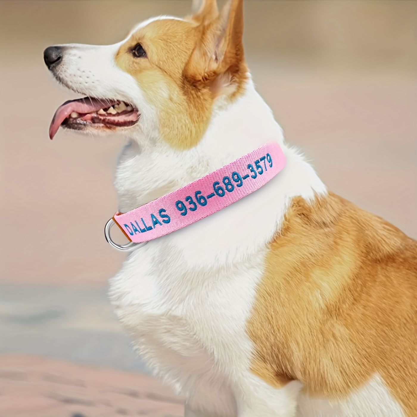 Personalized Dog Collar With Buckle, Pet Dog Collars, Embroidered