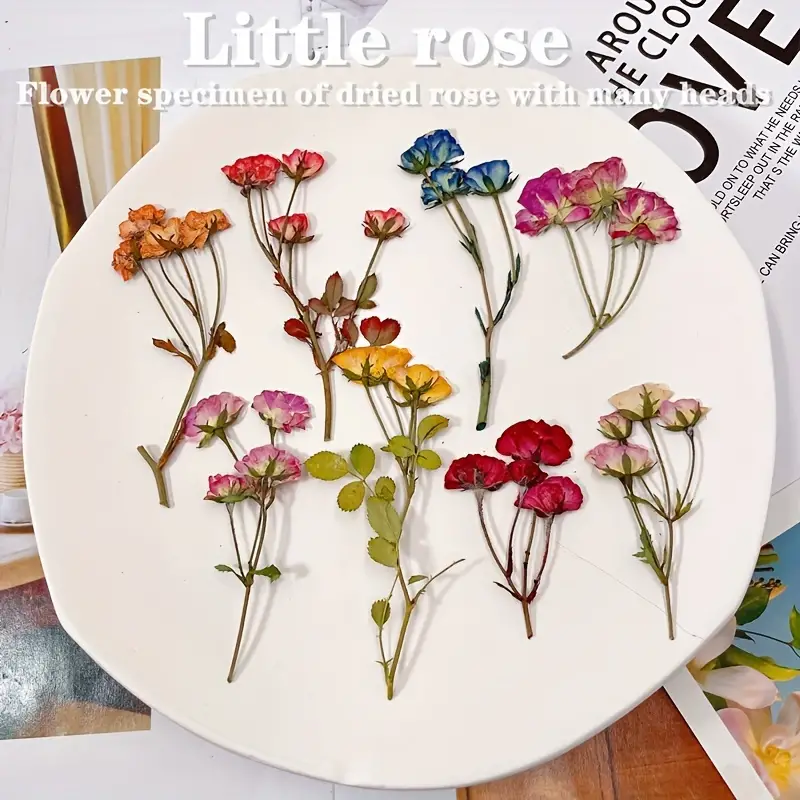 Small Rose Dry Embossing Resin Kit: Create Diy Art Crafts - Temu