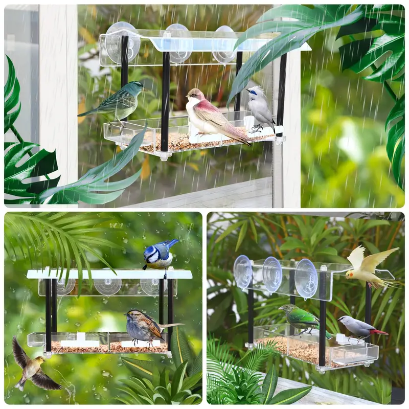 1pc Mangeoire Pour Oiseaux De Fenêtre Avec Ventouses Puissantes, Mangeoires  Pour Oiseaux De Fenêtre Transparentes Pour