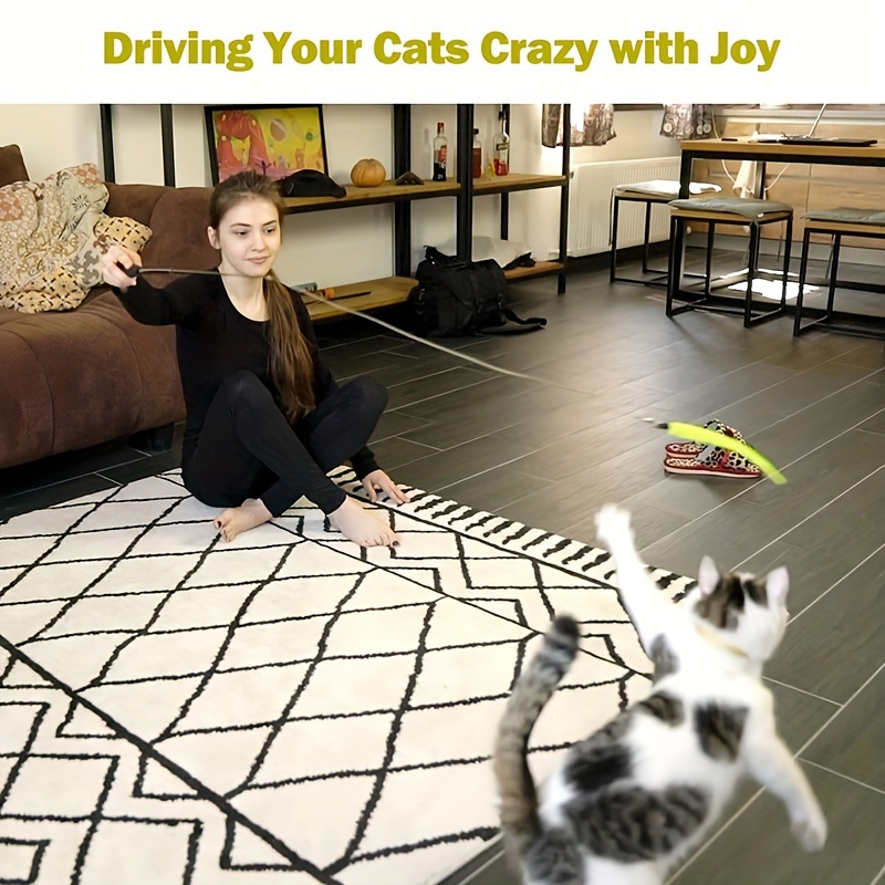 Cat Toys Interactive For Indoor Cats Retractable Cat Wand - Temu