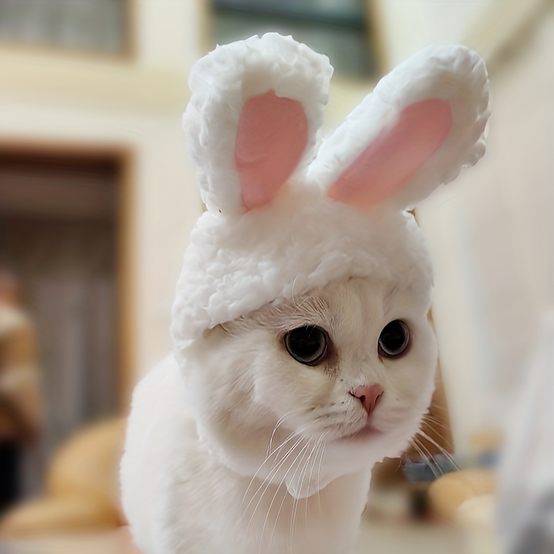 Beau chapeau de lapin pour chat, chapeau d'oreille de lapin mignon Costume  d'animal de compagnie Cosplay accessoires de casquette de chat