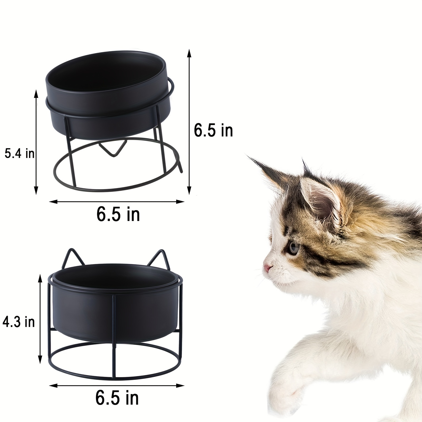 Elevated Cat Feeder Bowl With Stand Raised Stainless Steel - Temu