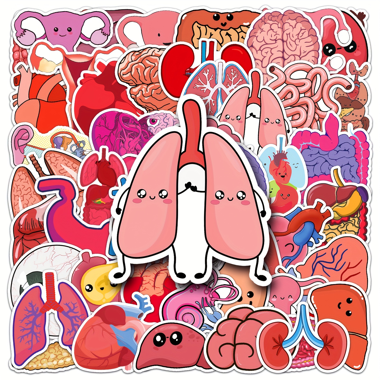 50pcs Human Organs Stickers Vinyl Waterproof Aesthetic Stickers For Water  Bottle, Computer, Notebook, Luggage, Phone, Laptop Bike Skateboard