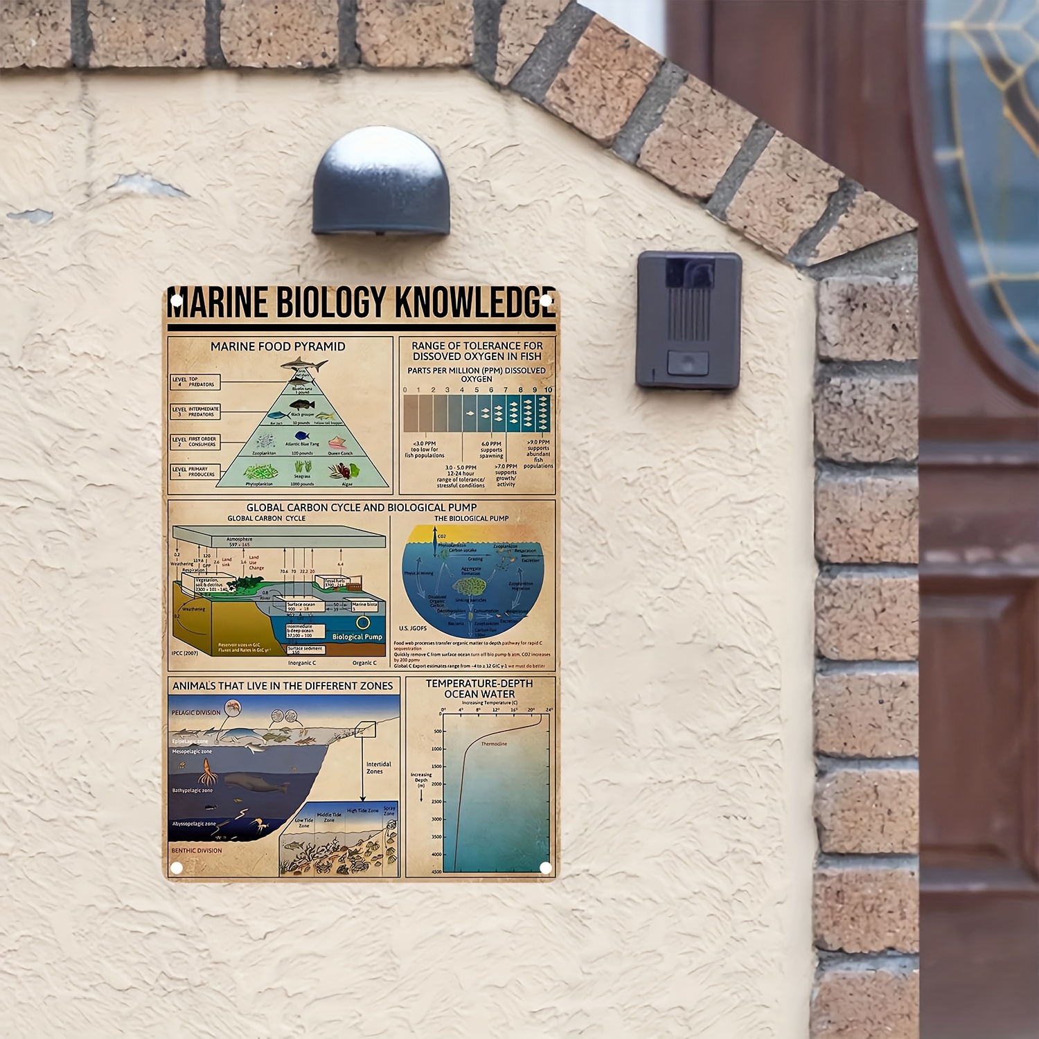 Marine Biology Knowledge Aluminum Metal Sign Education Chart - Temu