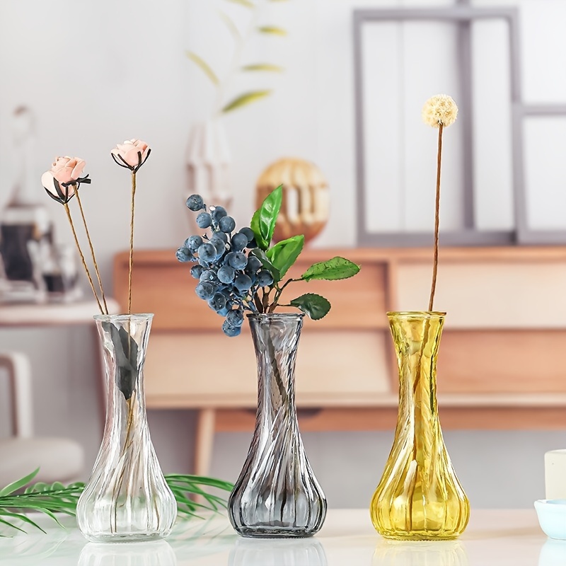 Colorful Glass Vase Table decoration Hydroponic Terrarium Small