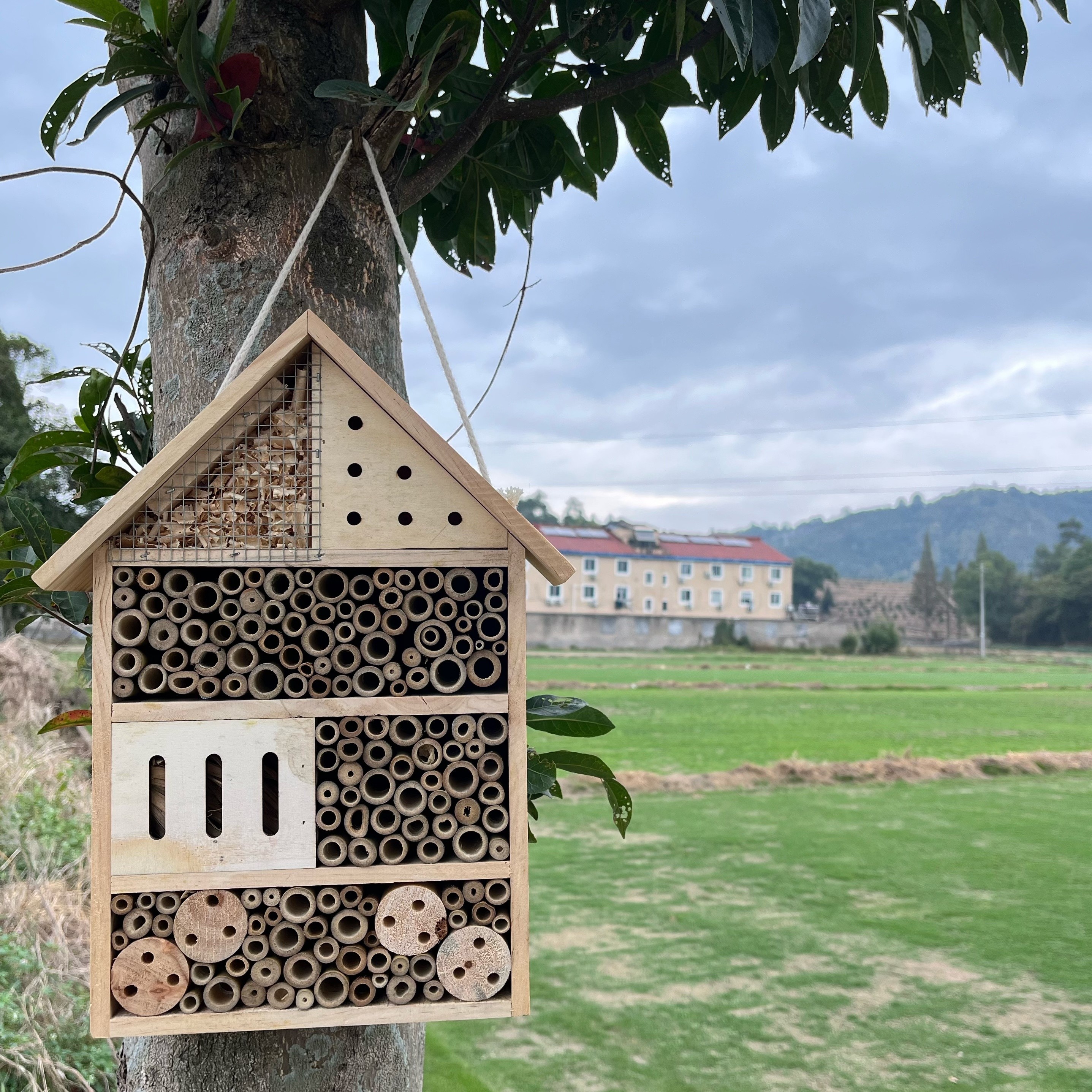 Maison d'abeilles en bois, tube de ruche d'abeilles, boîte d'apiculture,  nichoir d'abeilles suspendues, boîte à insectes de jardin, boîte d'abri de  nid 15 x 15 x 9 cm : : Commerce, Industrie