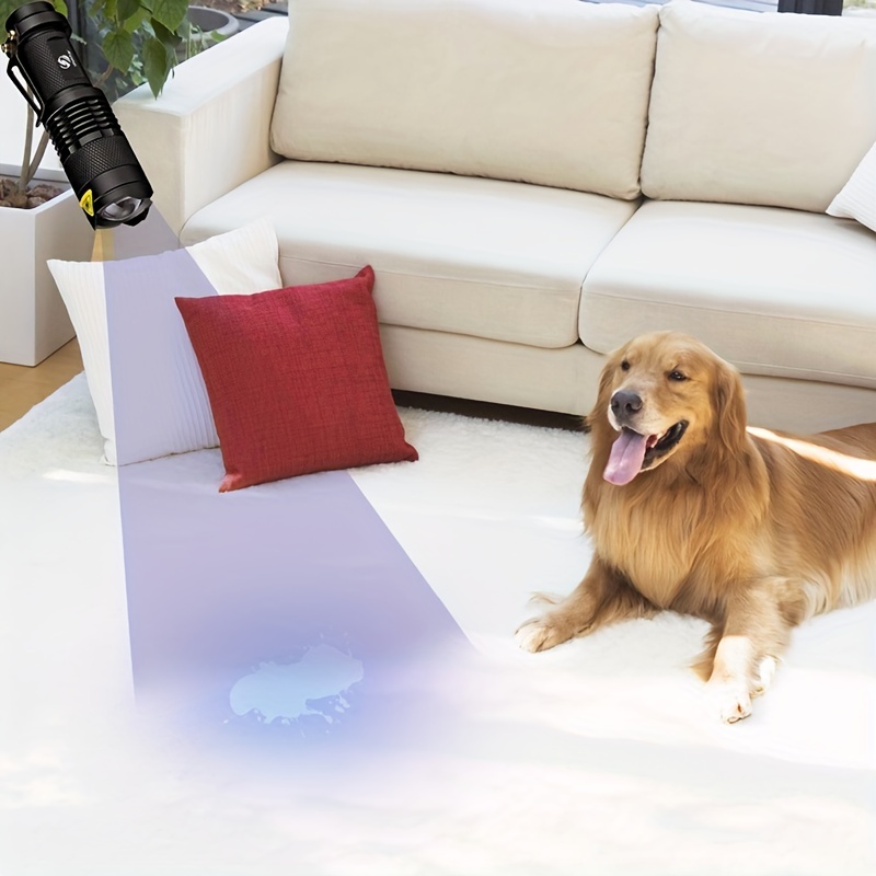  Simple Deluxe Linterna UV de luz negra de 395 nm, detección de  mano para orina de mascotas, manchas, verificación de documentos de dinero,  baterías no incluidas, color negro : Todo lo