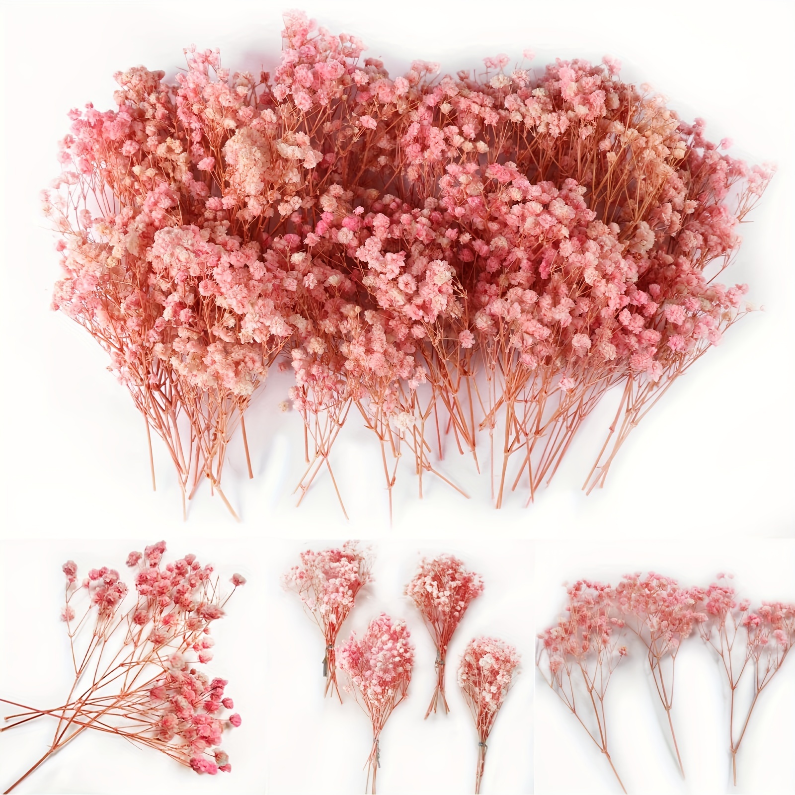 Pink Baby's Breath Dried Flowers,Christmas and Halloween,Vase  Arrangements,Home Decor,Photo Props,Parties,100