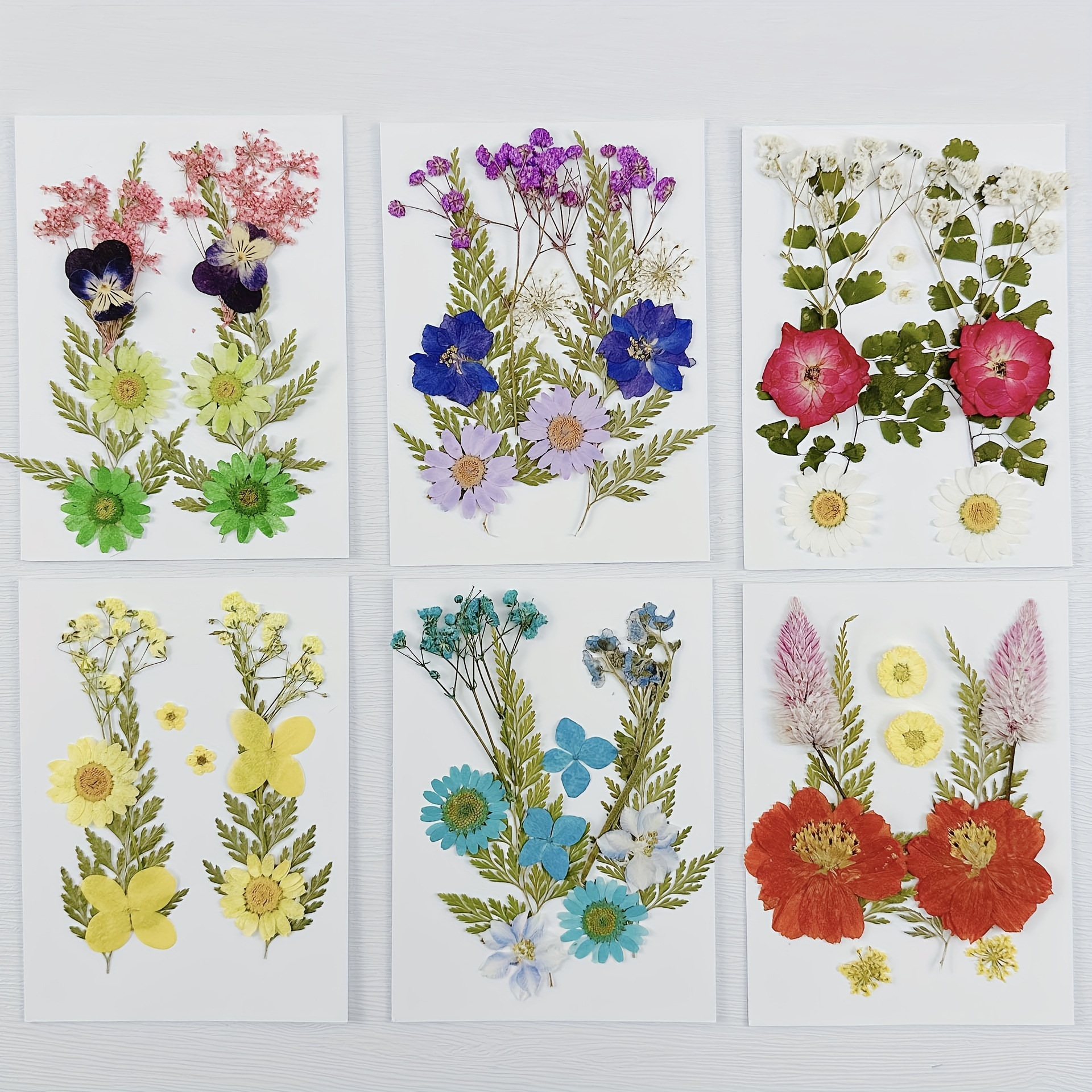 A Pack of 16pcs Dried Pressed Flowers For Crafts, Pressed Flowers